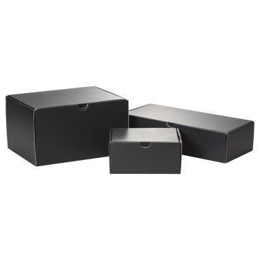 Delta Black on Base Crystal Award Packaging Birchmount Box