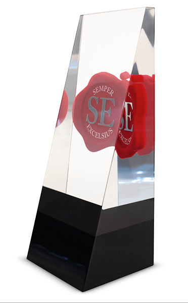 3D Printed Custom Awards